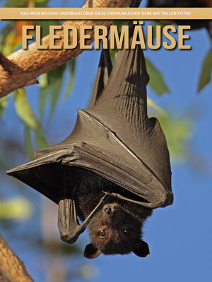 cover image of Fledermäuse